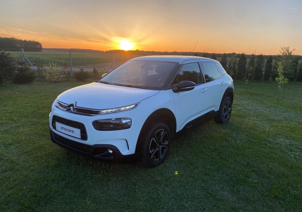 Citroen C4 Cactus cena 39900 przebieg: 230000, rok produkcji 2019 z Siedlce małe 121